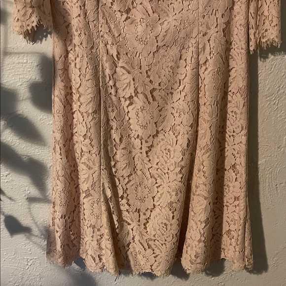 Eliza J Lace Long Sleeve Dress in Cream - Picture 3 of 8